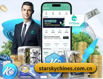 星空娱乐 APP 深度功能